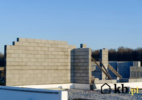 Dom z tego materiału może przetrwać nawet 300 lat. W Polsce wciąż mało kto go wybiera