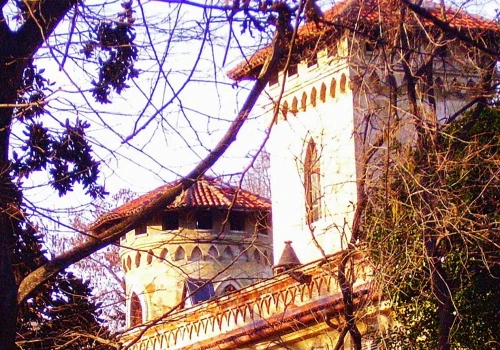 Kierunek dnia. Nie Japonia ani Chiny. Niezwykły las rośnie w Europie. Tuż obok stoi bajkowy zamek