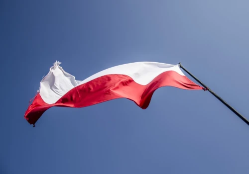 Polska na globalnym podium. Gonimy Niemcy i Chiny w eksporcie jednego produktu