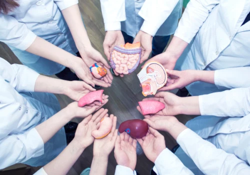 Jedna decyzja, drugie życie. Dziś Dzień Donacji i Transplantacji