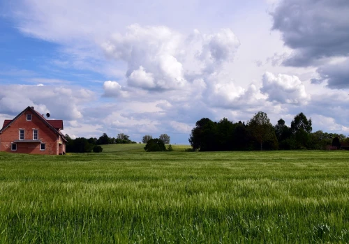 CPK płaci za przejętą ziemię. Nawet milion złotych za hektar!