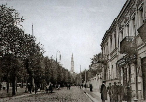 Zanim w Alejach wyrosły lipy. Ponad 200 lat historii drzew!