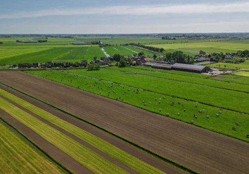 Radziwiłł więził tam Oleńkę. Wielka ferma bydła pod Taurogami na sprzedaż