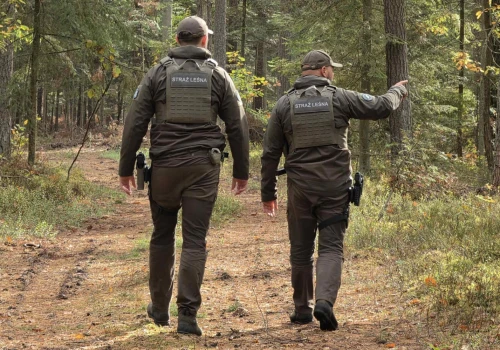 Leśnicy patrolują las, trwa akcja „Stroisz”