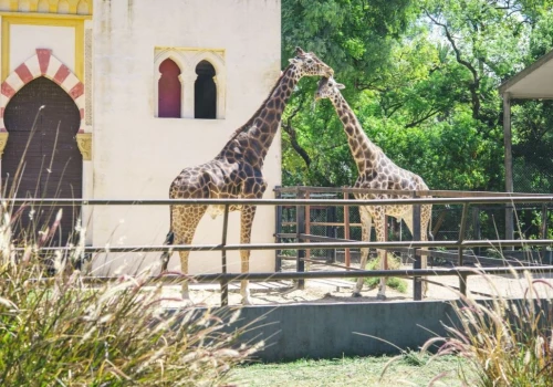 Jakie jest największe prywatne zoo w Polsce i co warto zobaczyć