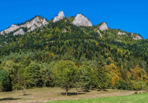Pieniny – co warto zobaczyć? Najciekawsze atrakcje, szlaki i noclegi