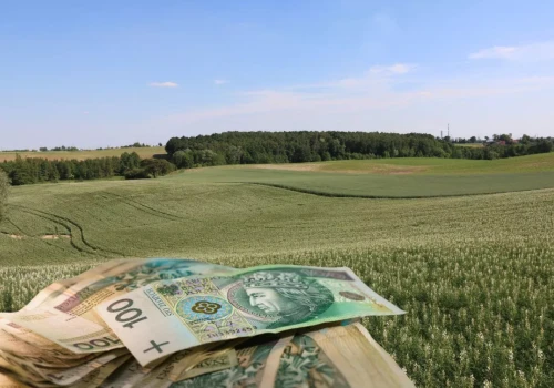 Ziemia rolna tanieje, czynsze spadły aż o 12%. Ale w tych województwach ceny idą w górę