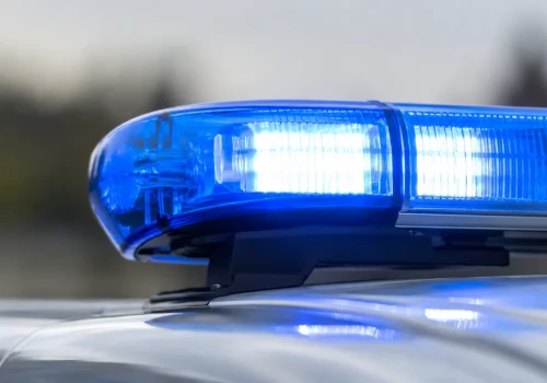 Powiat ząbkowicki. Cztery zdarzenia w kilka godzin. Volvo w rzece, zderzenia z dzikiem i sarną
