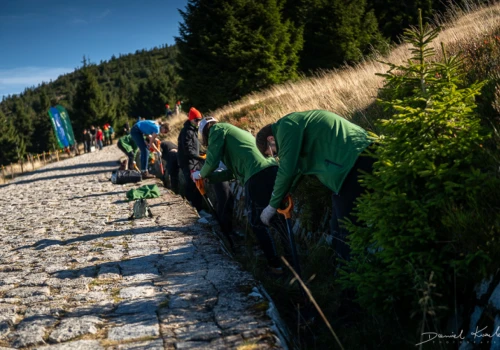 Zamienili biurka na górskie szlaki. Pracownicy Żabki pomagali w Karkonoszach