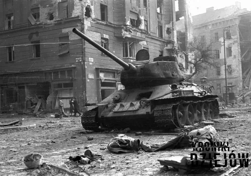 W 1956 roku Polacy pomogli im w czasie powstania. Dziś Węgrzy dziękują