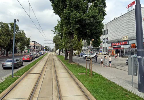 Częstochowa. Adwokat Adrianna W. za kierownicą mimo sądowych zakazów