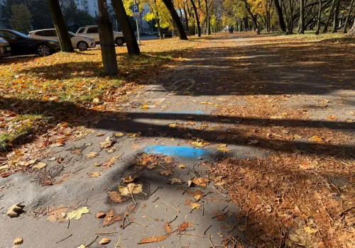 Co oznaczają niebieskie znaki na ścieżce rowerowej w Nowej Hucie? ZDMK wyjaśnia