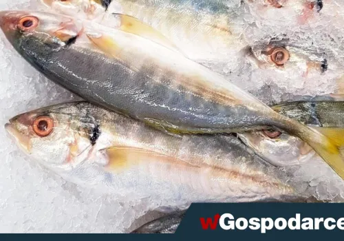Jak jesienią i zimą zapewnić sobie dość witaminy D?