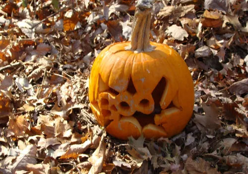 Ciepłe Halloween, w niedzielę zmiana czasu