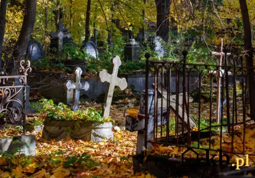 Rodziny często o tym nie wiedzą. Po 20 latach na rodzinnym miejscu na cmentarzu mogą pochować obcą osobę