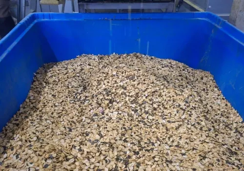 Z rodzinnej uprawy rozwinął biznes na tysiące ton rocznie. Sam uprawia niewiele