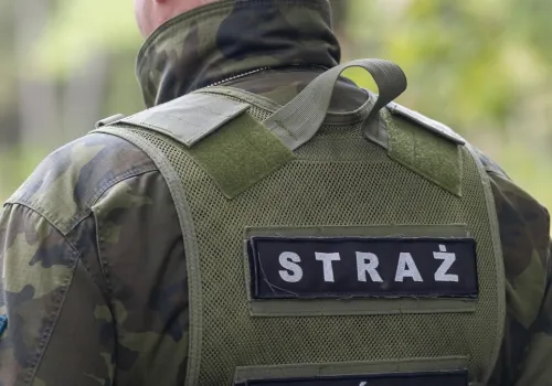 Straż Leśna monitoruje lasy. Wysokie mandaty za nielegalne wycinanie gałęzi