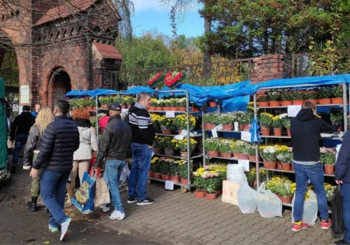 Nawet 500 zł mandatu za stroik na Wszystkich Świętych. Kontrole trwają w całej Polsce