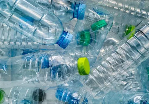 Kaucje: Żabka stawia na nową usługę. Kurier odbierze nawet cztery worki butelek