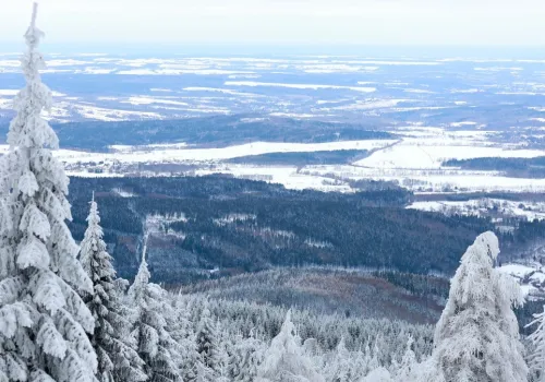 Gdzie na zimowe wycieczki? W tych miejscach śnieg jest gwarantowany