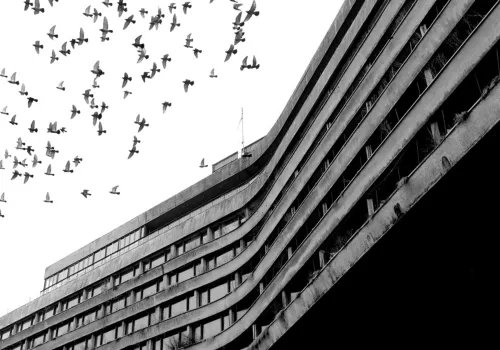 Gdyński Modernizm w Obiektywie 2026 — znamy laureatów XVI edycji konkursu