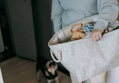 Pranie pachnące jak drogie perfumy? Lidl ma na to sposób za 9,99 zł