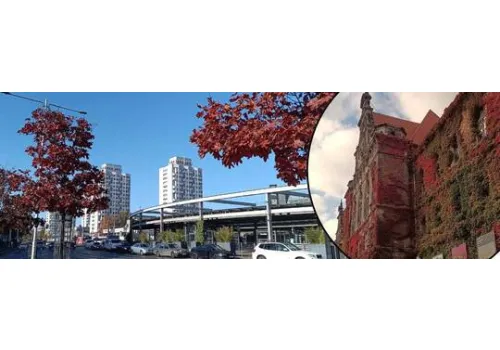 Najbardziej fotogeniczna pora roku? Zobacz jesienny Wrocław na naszych zdjęciach