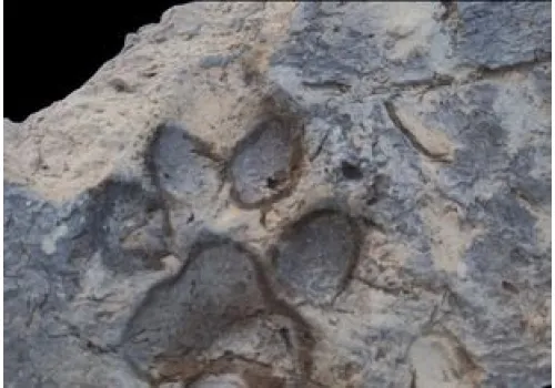 Archeolodzy przecierali oczy. W ruinach sprzed 4 tys. lat znaleźli coś niespodziewanego