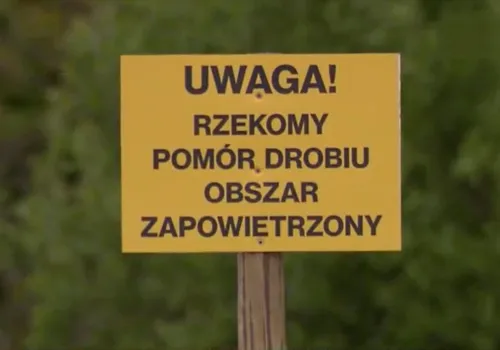 Rzekomy pomór drobiu w powiecie chełmskim. Dwie miejscowości objęte strefą zakażenia