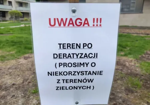 Kraków walczy ze szczurami