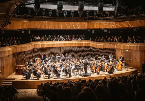 Cavatina Philharmonic Orchestra - koncert muzyki filmowej Horror and Thriller Night