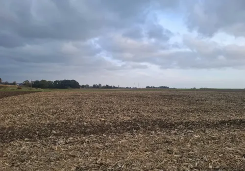 To warto zrobić po zbiorze kukurydzy i buraków. Nie ma na co czekać