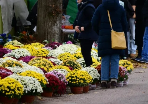 Na handlu przed cmentarzem w kilka dni można zarobić więcej niż przez miesiąc na etacie