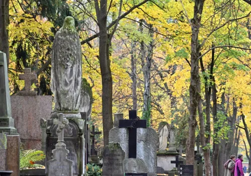 Nie tylko krzyż, Jezus i rośliny. Nietypowe symbole na polskich grobach