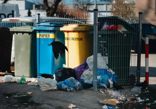Od 1 listopada opłaty idą w górę. Rodziny zapłacą o 702 zł więcej