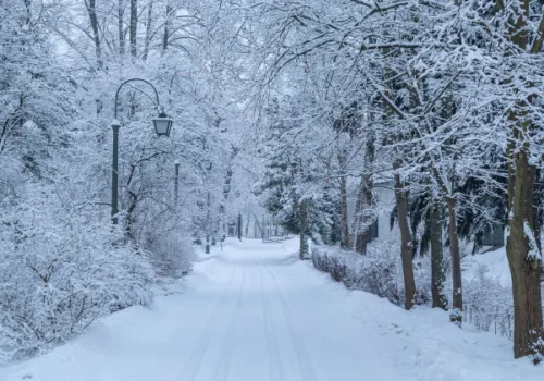 Pierwsze śnieżyce możliwe już na początku listopada. Ściśnie też mróz