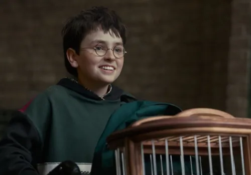 Rodzice Harry’ego Pottera wybrani. HBO powiększa obsadę serialowej ekranizacji