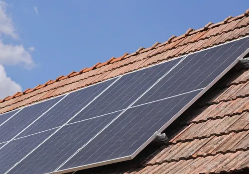 Fotowoltaika z obierków po warzywach i owocach. Powstaje PV z odpadów roślinnych