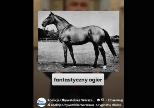 Kolejny koń będzie miał swoją ulicę w Warszawie. Śp. Lech Kaczyński nadal nieuhonorowany w stolicy