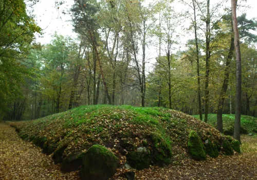 Kopce kujawskie wśród lasów czy pól? Palinologia i archeologia w Sobocie