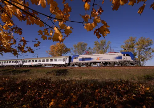 PKP Intercity zwiększa liczbę miejsc na Wszystkich Świętych. Dodatkowe wagony i pomoc na dworcach