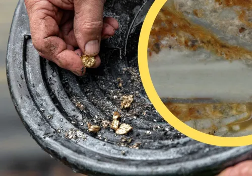 90 km od granicy z Polską znaleziono złoto. "Kamień milowy w poszukiwaniach"