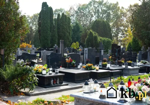 Cmentarne cenniki pod lupą. Za niektóre usługi samorządy mogły pobierać opłaty bez podstawy prawnej