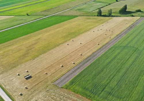 Państwowa ziemia do wydzierżawienia. Kto może dostać grunty z KOWR i na jakich zasadach?