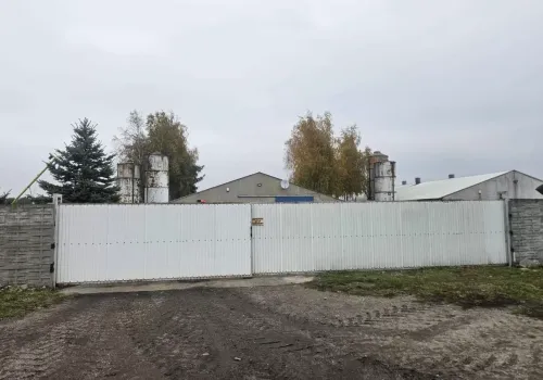 Kazali wybić 60 tys. kur. Minęło 200 dni, a rolnik nie dostał ani złotówki