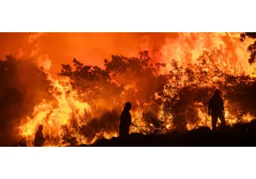 1,4 tys. zgonów dziennie przez upał. Tak zabija zmiana klimatu