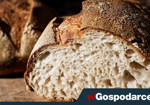 Czy dieta bezglutenowa może zwiększać ryzyko cukrzycy?