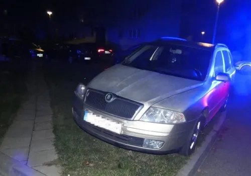 Tarnowskie Góry: Pijana 73-latka uderzyła w słup. Dostała 6 tys. zł mandatu