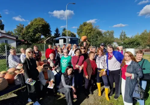 Seniorzy biorą sprawy w swoje ręce. Gmina Czernica stawia na ich aktywność i pyta o potrzeby