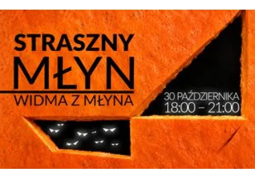 Widma opanują Młyn Wiedzy. Naukowy wieczór z dreszczykiem w Toruniu